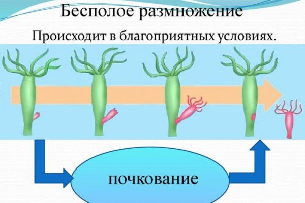 Кракен маркетплейс что это